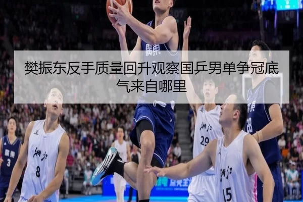 樊振东反手质量回升观察国乒男单争冠底气来自哪里