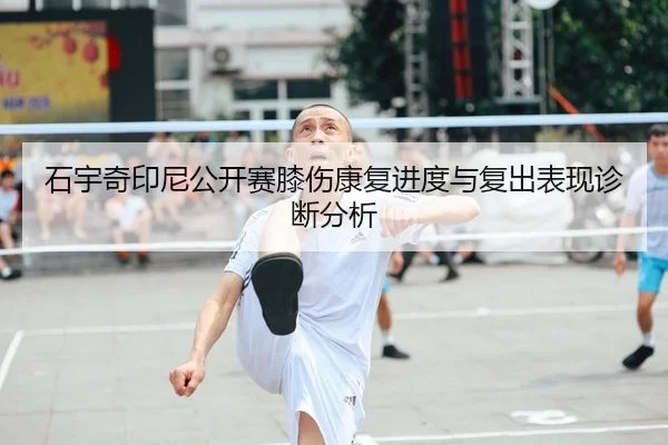 shi-yu-qi-yin-ni-gong-kai-sai-xi-shang-kang-fu-jin-du-yu-fu-chu-biao-xian-zhen-duan-fen-xi-1-294.jpg