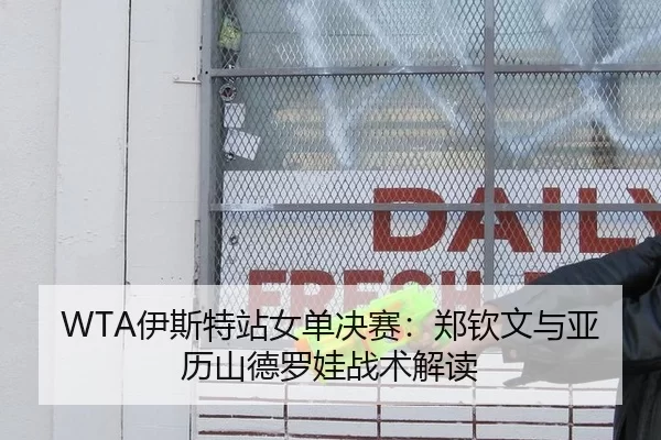 WTA伊斯特站女单决赛：郑钦文与亚历山德罗娃战术解读