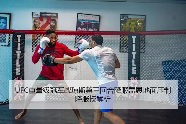 UFC重量级冠军战琼斯第三回合降服盖恩地面压制降服技解析